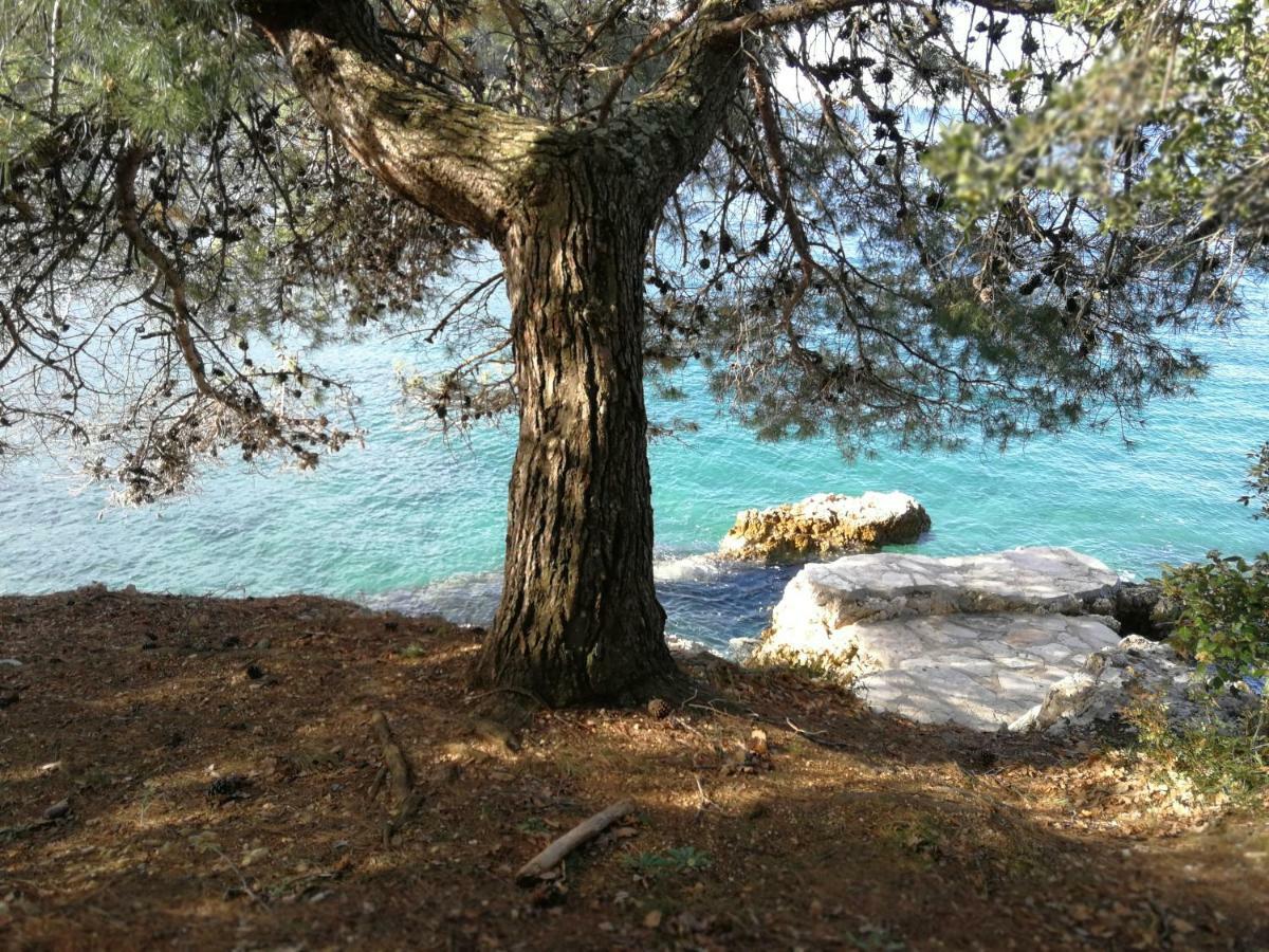Apartamento App Roko Poreč Exterior foto